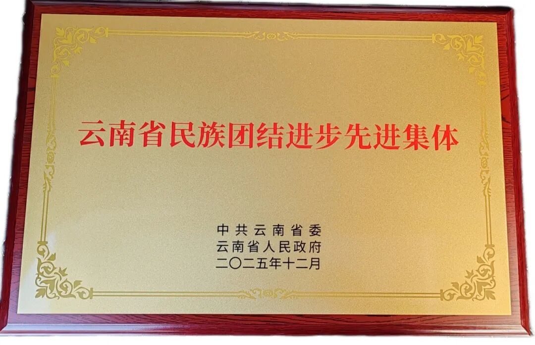 新华网：勐海茶业获“云南省民族团结进步先进集体”称号 (2026-01-01)
