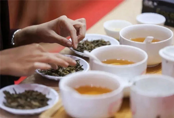 10万茶人追捧的“大益论茶”究竟在论什么？ (2023-07-11)